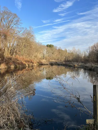 Best Hikes and Trails in Tall Pines State Preserve | AllTrails