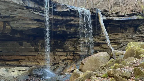 Best Hikes and Trails in Virgin Falls State Natural Area | AllTrails