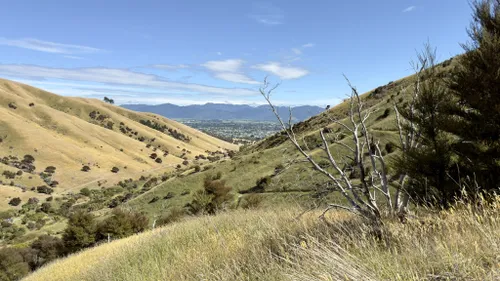 Wither hills mountain online bike park