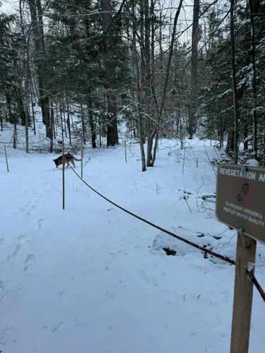 Best 10 Hiking Trails In Okemo State Forest AllTrails   EyJidWNrZXQiOiJhc3NldHMuYWxsdHJhaWxzLmNvbSIsImtleSI6InVwbG9hZHMvcGhvdG8vaW1hZ2UvNjg3OTc4MDkvM2NlY2U0MDk3YTliYzVmOThkYmY3NjRhZjdhYzEwYTMuanBnIiwiZWRpdHMiOnsidG9Gb3JtYXQiOiJ3ZWJwIiwicmVzaXplIjp7IndpZHRoIjo1MDAsImhlaWdodCI6NTAwLCJmaXQiOiJpbnNpZGUifSwicm90YXRlIjpudWxsLCJqcGVnIjp7InRyZWxsaXNRdWFudGlzYXRpb24iOnRydWUsIm92ZXJzaG9vdERlcmluZ2luZyI6dHJ1ZSwib3B0aW1pc2VTY2FucyI6dHJ1ZSwicXVhbnRpc2F0aW9uVGFibGUiOjN9fX0=