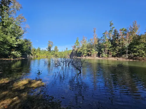 Best Hikes and Trails in Redcliffe Plantation State Historic Site ...