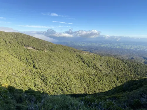 10 Best Trails And Hikes In Taranaki | AllTrails