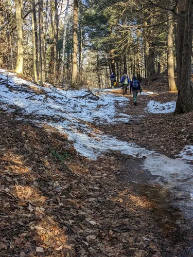 Best Hikes and Trails in Brookmead Conservation Area | AllTrails