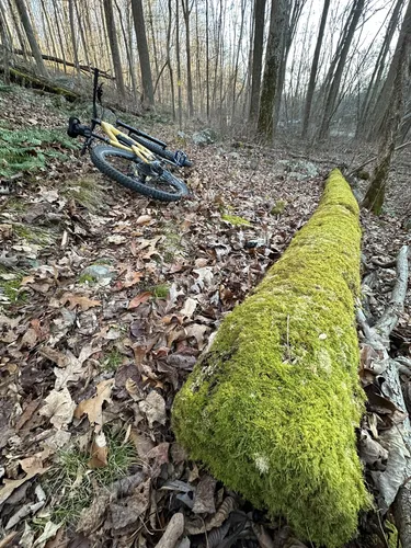 Stephens state outlet park mountain biking