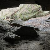 Deer Lick Cave and Bridle Loop Trail, Ohio - 1,545 Reviews, Map | AllTrails