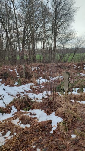 NSG Wittemoor: Wittemoorweg und Bohlenweg