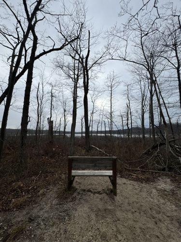 Grand Mere State Park - All You Need to Know BEFORE You Go (with Photos)