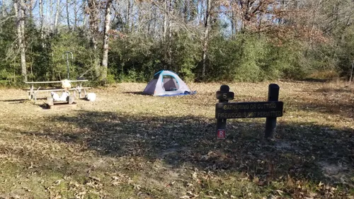 Best Hikes and Trails in Fort Boggy State Park | AllTrails