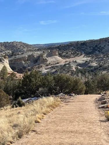 se permiten perros en los parques estatales de colorado