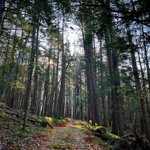 Best Hikes and Trails in Milanville AllTrails