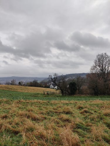 [D1] Rundwanderweg Dammühle