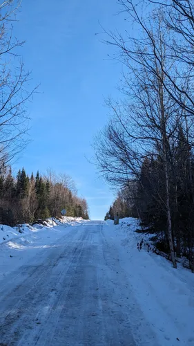 Best Walking Trails in SaintAugustinDeWoburn AllTrails