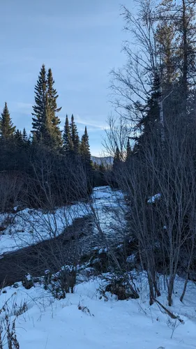 Best Walking Trails in SaintAugustinDeWoburn AllTrails