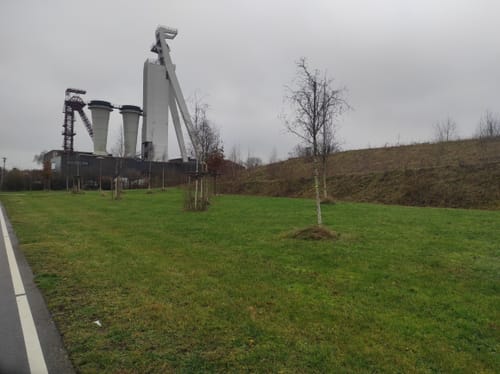 Um Langenbochum