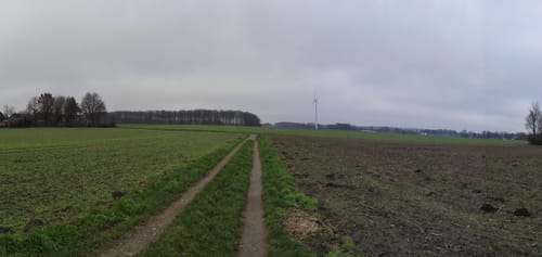 Um Langenbochum