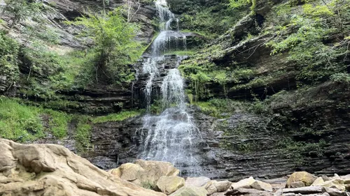 Best Hikes and Trails in Gauley Bridge | AllTrails