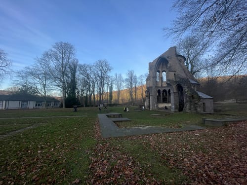 Zum Kloster Heisterbach ab Oberdollendorf
