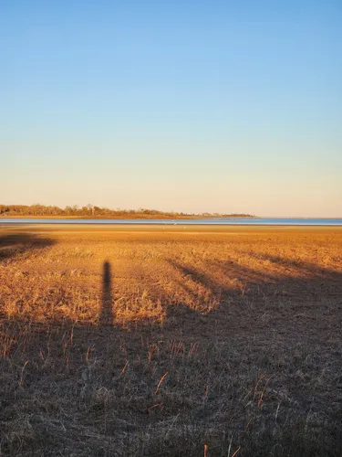 Best Camping Trails in Lake Somerville State Park – Nails Creek Unit ...