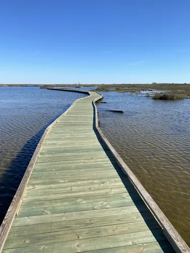 Best Hikes and Trails in Sea Rim State Park | AllTrails