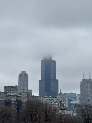 se permiten perros en grant park chicago