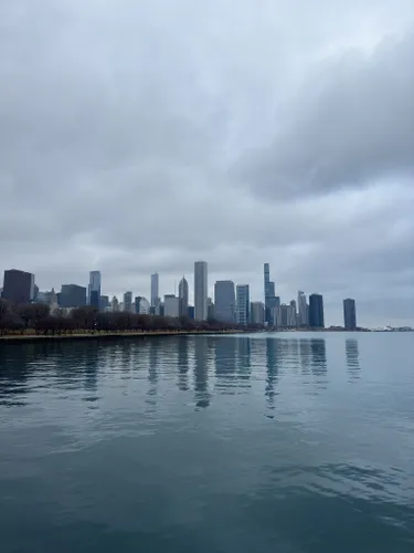 se permiten perros en grant park chicago