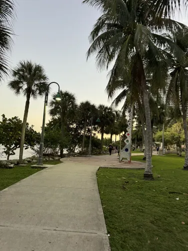 Los cinco mejores parques para perros en Miami