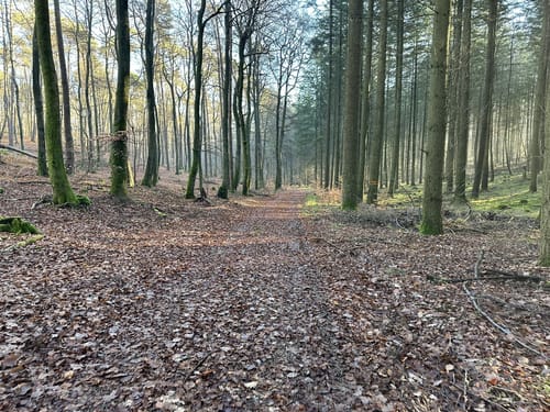 Rundweg Mackenbach-Schwedelbach