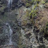 Trail 121: Waterfall Loop, Washington - 944 Reviews, Map | AllTrails