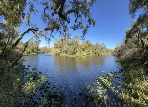 Best Hikes and Trails in Dead River Park | AllTrails