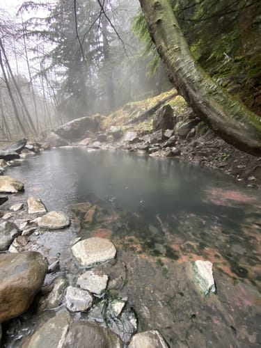 Olympic hot springs clearance trail