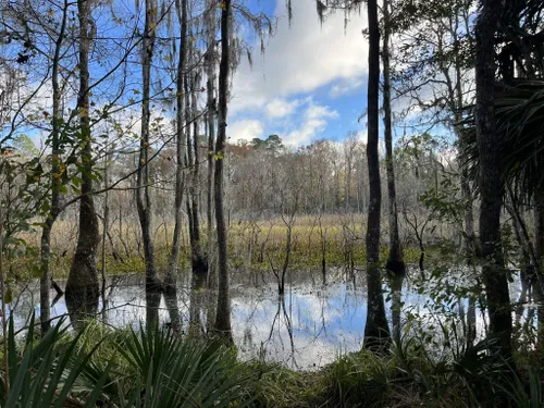 Turkey Creek Walk  Nature Trail – Florida Hikes