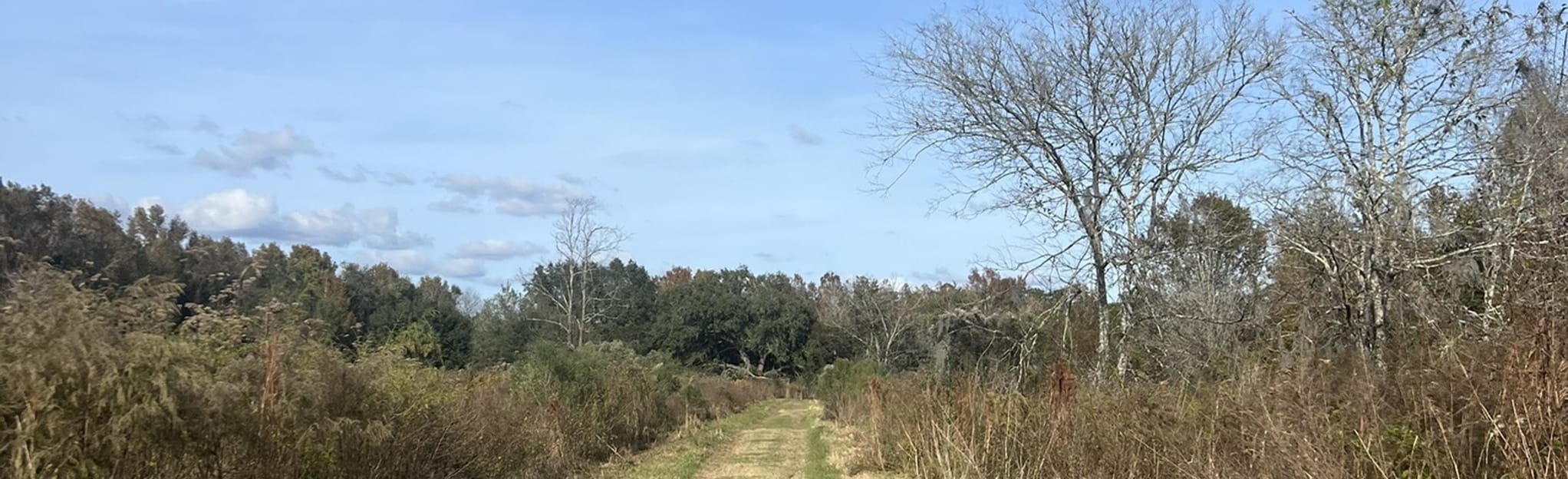 Old Fort King Trail, Florida 217 Reviews, Map AllTrails