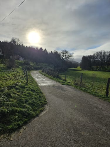 Eifelsteig Etappe 5: Gemünd - Steinfeld