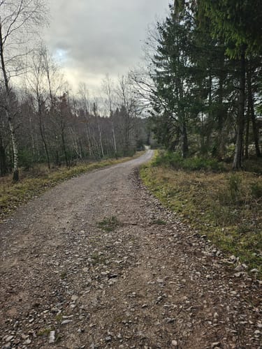 Eifelsteig Etappe 5: Gemünd - Steinfeld
