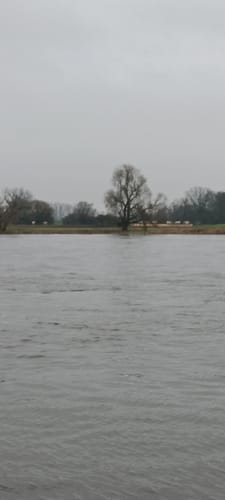 Um die Burg Rogätz entlang der Elbe
