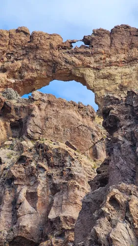 Best Wild Flowers Trails in Organ Pipe Cactus National Monument