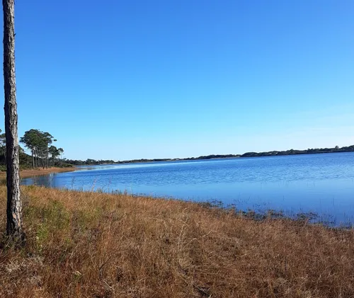 10 Best Trails and Hikes in Santa Rosa Beach | AllTrails