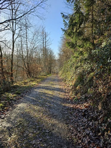 Eifelsteig Etappe 5: Gemünd - Steinfeld