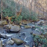 Mud Creek Falls, Georgia - 83 Reviews, Map | AllTrails