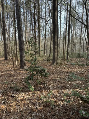 Best Hikes and Trails in Sherman Branch Nature Preserve | AllTrails