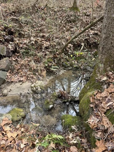 Sherman branch mountain online biking park