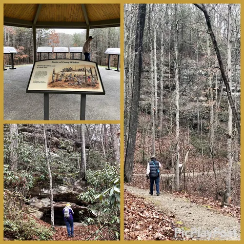 Best Forest Trails in East Bernstadt AllTrails