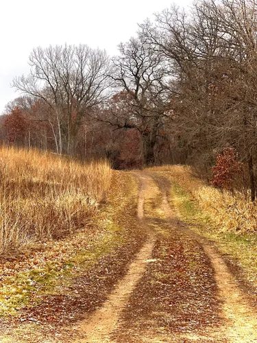 Best Camping Trails in Lake Elmo | AllTrails