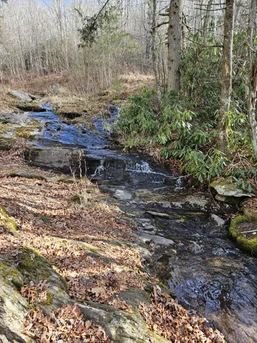 Best Hikes and Trails in Bobby McLean Memorial Park | AllTrails