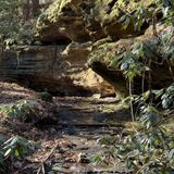 Scuttlehole Overlook via 404A Trail, Kentucky - 234 Reviews, Map ...