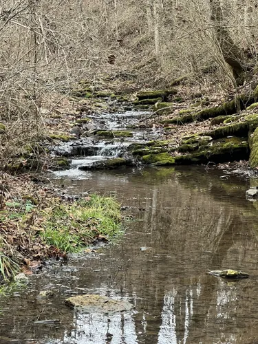 Best Hikes and Trails in Jessamine Creek Gorge Nature Preserve | AllTrails