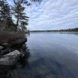 Chamberlain-Reynolds Memorial Forest Loop, New Hampshire - 953 Reviews ...