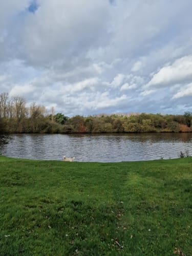 Naturschutzgebiet Borkener Paradies