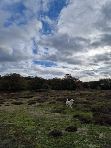 Naturschutzgebiet Borkener Paradies