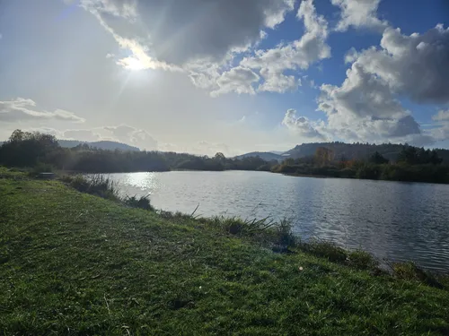 Willamette Wonders: 5 Scenic Hiking Trails in Albany – Oregon